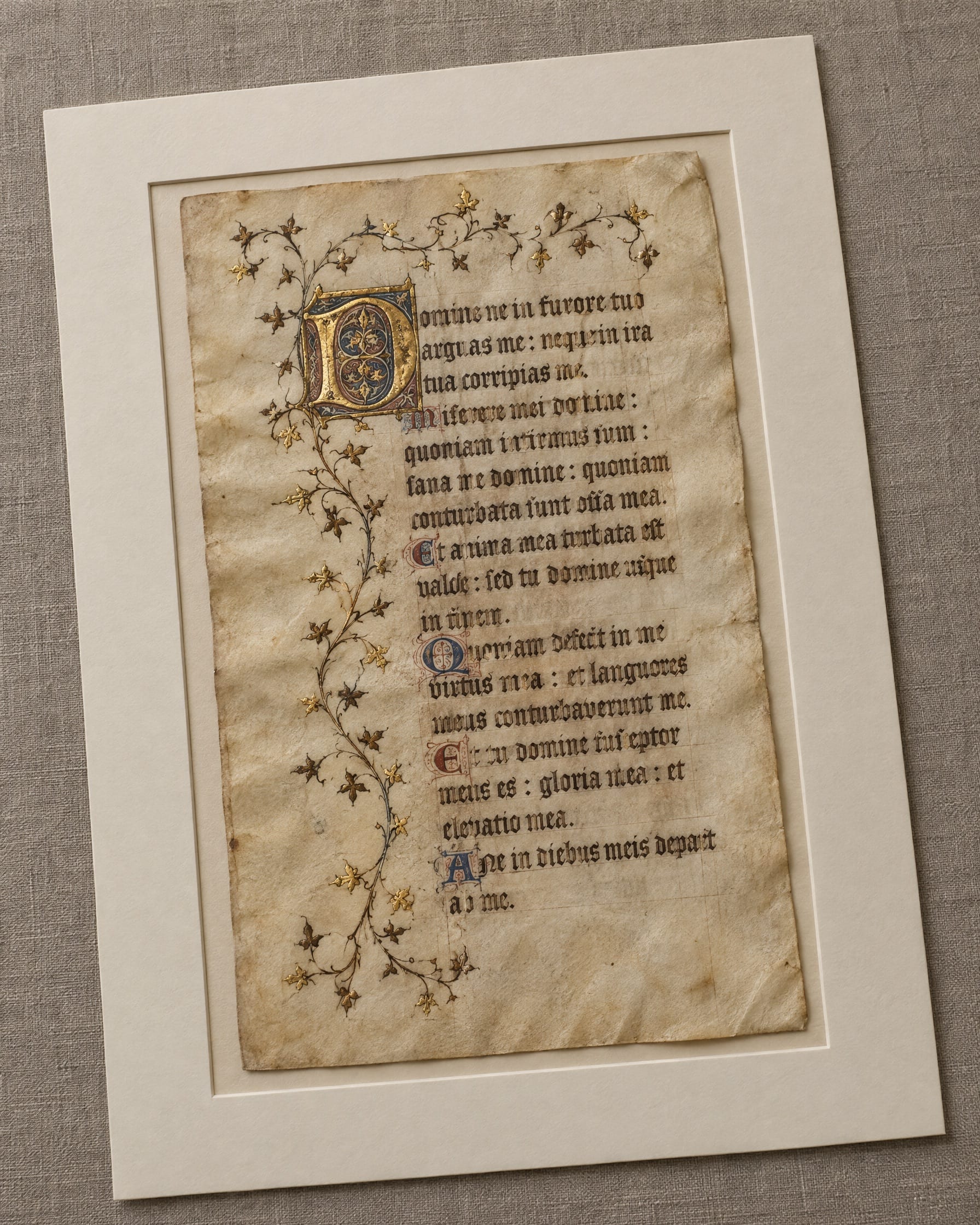 Pergamentblatt eines Psalters mit Goldinitiale in einem Passepartout